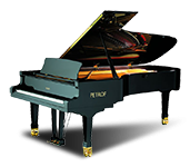 פסנתרים פטרוף