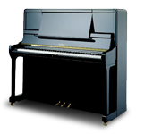 פסנתר פטרוף